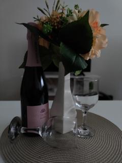 Apartman Jelena - Trebinje - 4