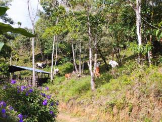 Casa Las Gemelas - 1