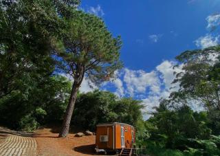 Tiny House Spectacular Eco Retreat & Cosy - Maleny - 6