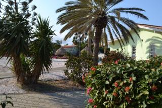 Seru Coral Resort studio 16 - Willemstad - 5