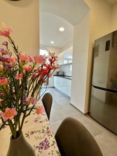 Altstadt Suite 120qm WLAN Balkon 2 Bäder - Meißen - 1