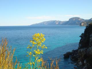 Casa Degli Oleandri Sul Cortile R6314 - Cala Gonone - 8