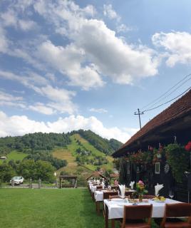 Pensiunea Acasa la Moieciu - 7