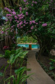 Lake Arenal Brewery & Resort - Tilarán - 6
