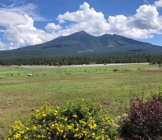 Change of Altitude 7320 - Flagstaff - 0