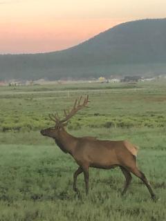 Change of Altitude 7320 - 7