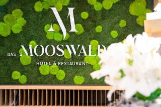 das MOOSWALD - 9