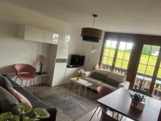 Cozy place in Leysin with a view - Leysin - 3