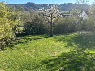 Garten Wohnung - Singen - 0
