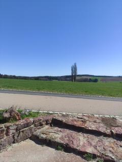 Sonniges und modernes Apartment Casa Nobi - Gebenbach - 7