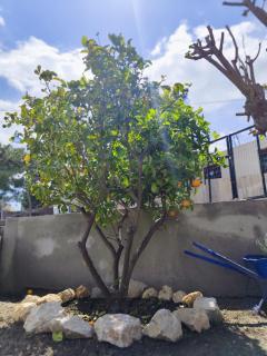 Sea Breeze Stegna - 1