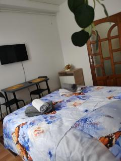 Studio STEFAN Campulung Muscel - 9