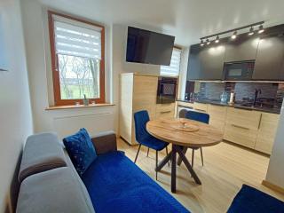 Apartament Radiostacja V, parking free - Gliwice - 0