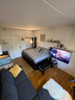 Cozy studio apartment - CPH Airport! - Copenaghen - 9