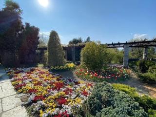 Holyday Lake Pallanza - Verbania - 3