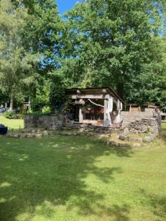 Forest Camping - - 5