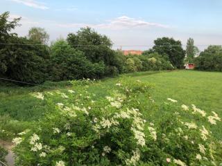 Einmalige Moderne Naturoase mitten in der Stadt - Kassel - 1