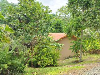 Corcovado Private Houses-Villas-Tents-pool-rest - Puerto Jiménez - 7