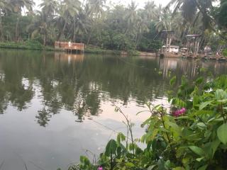 Peaceful perch - Kozhikode - 1