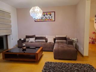 Spacious Home Near Bucharest Garden & Parking - 8