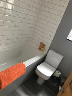 Quiet 5 bed Vauxhall House with garden and roof terrace - Londra - 4