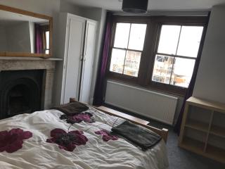 Quiet 5 bed Vauxhall House with garden and roof terrace - Londra - 0