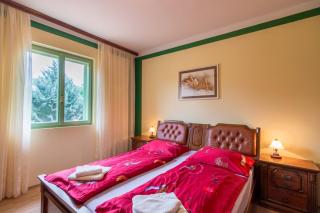 Villa Steffani - Labin - 4