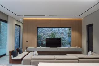 Thelevissihouses - 1