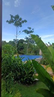 Corcovado Private Houses-Villas-Tents-pool-rest - Puerto Jiménez - 3