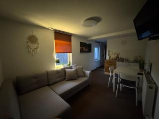 Apartamencik przy trasie nr 1 Bielsko-Biała - Bielsko-Biała - 8