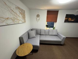 Apartamencik przy trasie nr 1 Bielsko-Biała - Bielsko-Biała - 1
