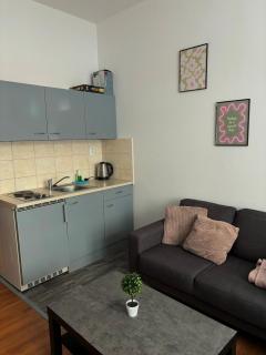 Anthony Apartment in City Center - 3