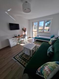 Apartament Zagórze, bezpłatny ogrodzony parking, Netflix - Kielce - 9