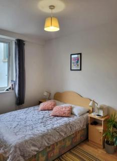 Central Stay with Free Parking Private Room in Shared Flat - Galway - 7