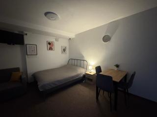 Apartamencik przy trasie nr 2 Bielsko-Biała - Bielsko-Biala - 6