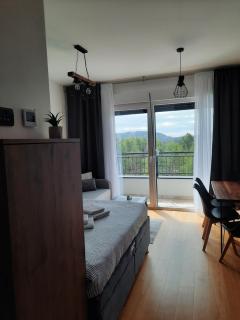 Apartman Pogled Divcibare - Divčibare - 4