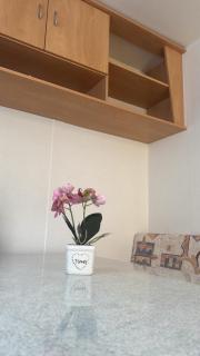 Camping Mayer - Cavallino-Treporti - 1