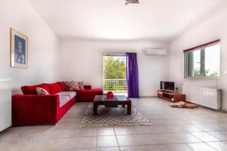 Olga's Country Villa - 6