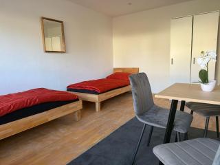 Apartment Harlaching - Munich - 1