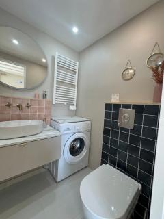 Elegant studio between train station and city center - Aix-les-Bains - 7
