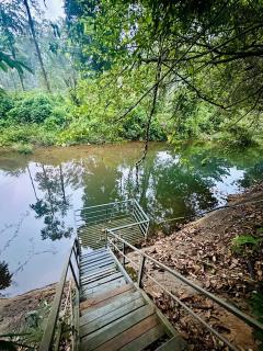 Wilderstay Resort - Meppādi - 5