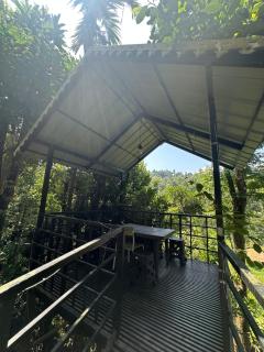 Wilderstay Resort - Meppādi - 4