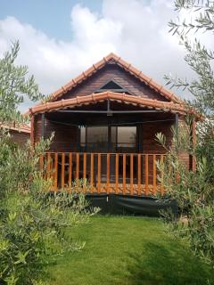 Riviera Bungalow Evleri Demre 3 - Demre - 0
