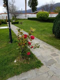 Vila Teo - Vasil Levski - 7