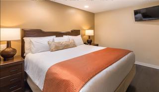Orange Tree Resort - Phoenix - 4