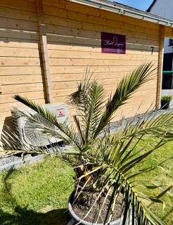 Chalet Lasserg - Münstermaifeld - 8