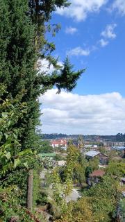 Casa JMPP - Puerto Varas - 7