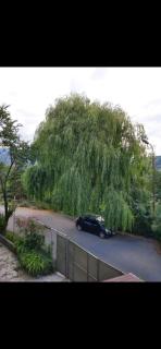 DiliHome - Dilijan - 9