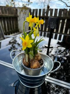 Wohlfühloase Brombachsee - 8