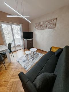Apartman Miladinović - Belgrado - 9